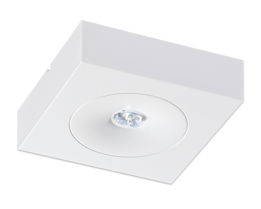 7bc865f66efe7606f41df38be82f05ef31ee682d224e0a5ee66a0455b39fea9e