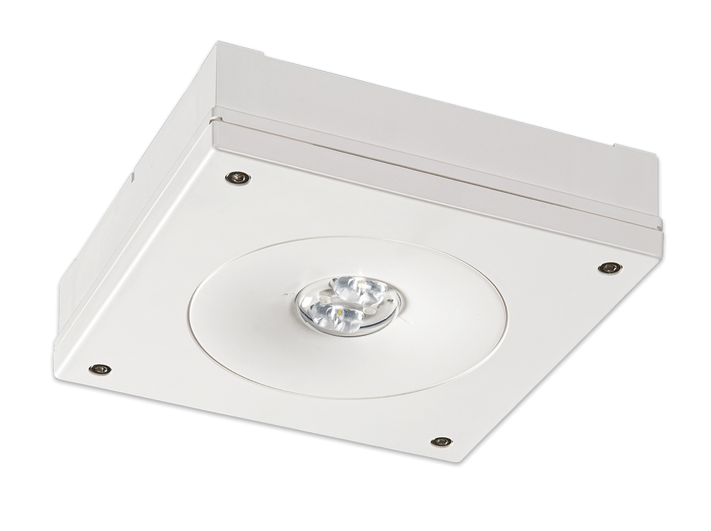 90c621a8f42f43b0f7ad8d5948506e28919f291ebe1d1377f58846c09474899b